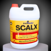 Scalx Ro De-scaling Acidic